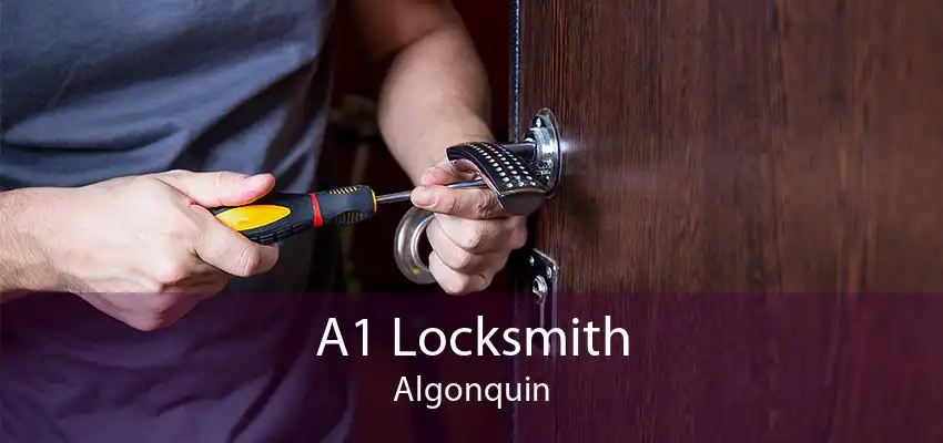 A1 Locksmith Algonquin