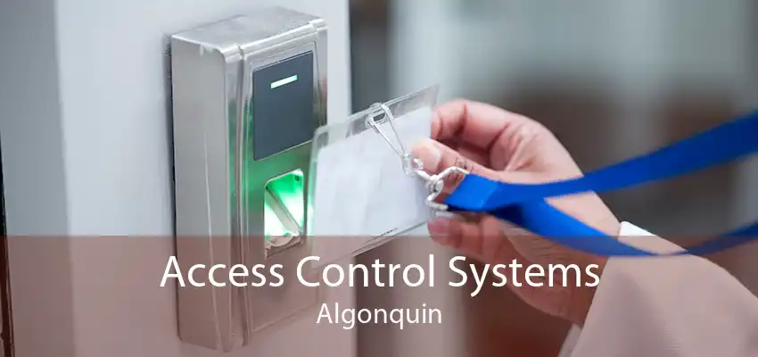 Access Control Systems Algonquin