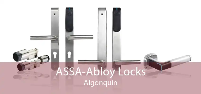ASSA-Abloy Locks Algonquin