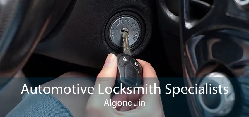 Automotive Locksmith Specialists Algonquin