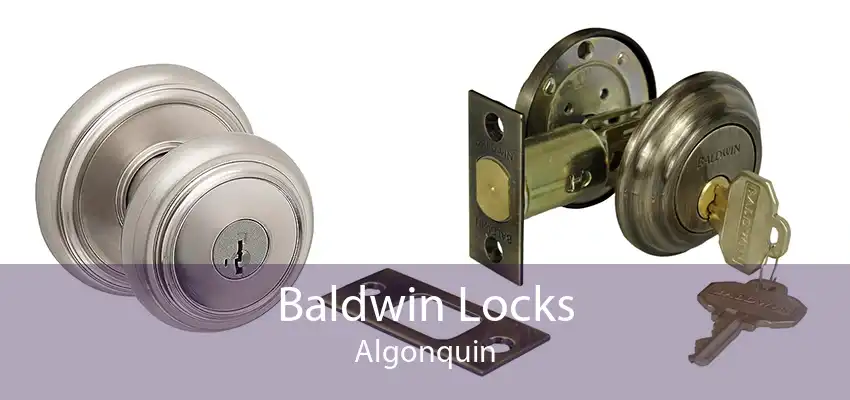 Baldwin Locks Algonquin
