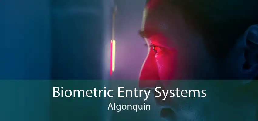 Biometric Entry Systems Algonquin