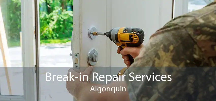 Break-in Repair Services Algonquin