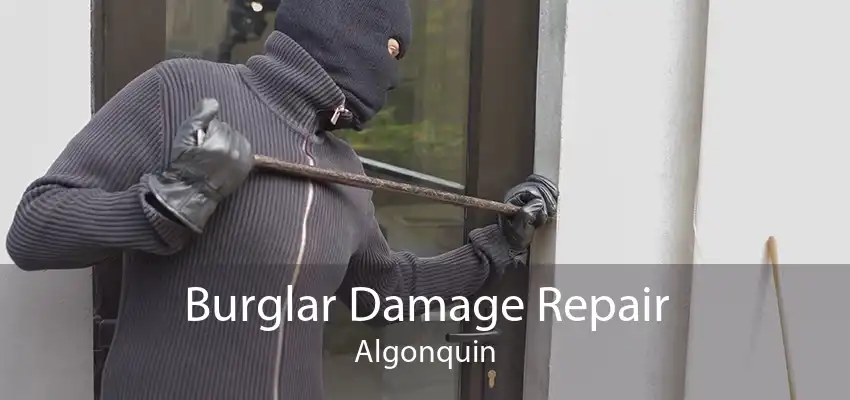 Burglar Damage Repair Algonquin