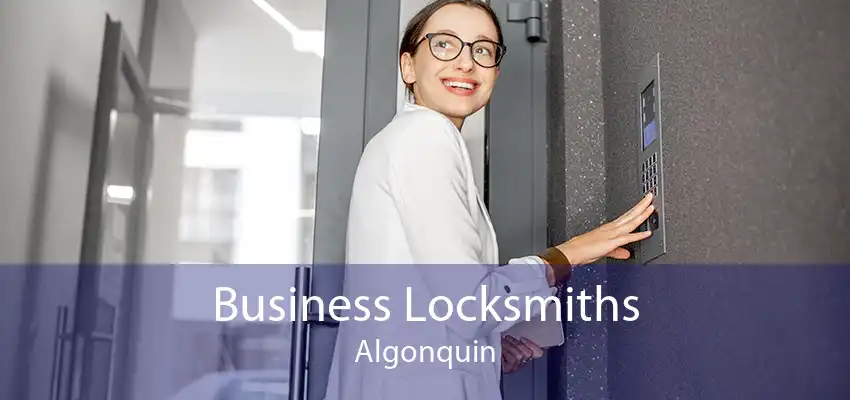 Business Locksmiths Algonquin