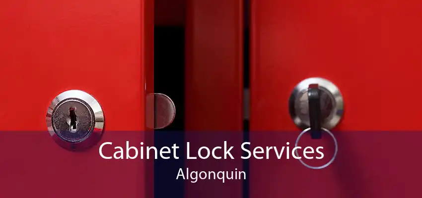 Cabinet Lock Services Algonquin