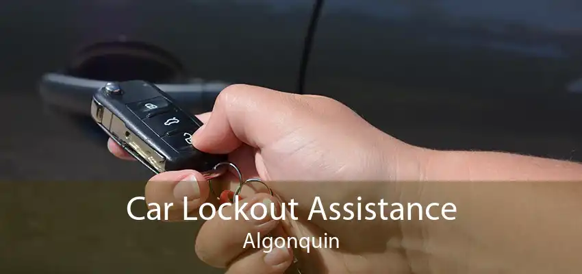 Car Lockout Assistance Algonquin