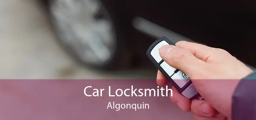 Car Locksmith Algonquin