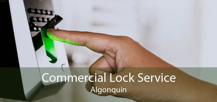 Commercial Lock Service Algonquin