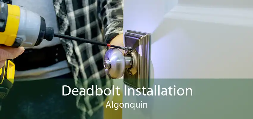 Deadbolt Installation Algonquin