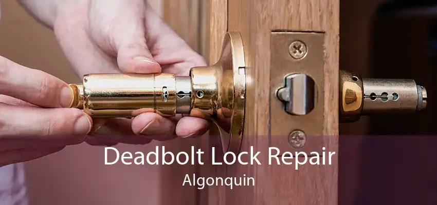 Deadbolt Lock Repair Algonquin