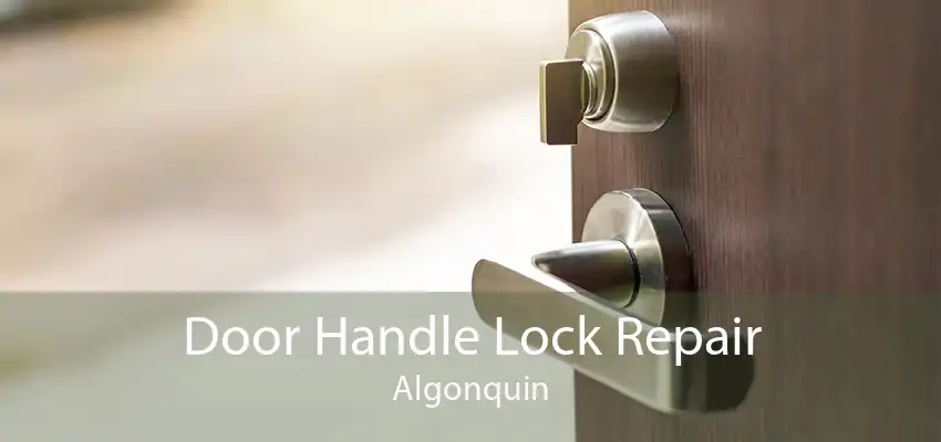 Door Handle Lock Repair Algonquin