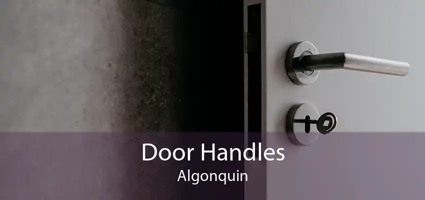 Door Handles Algonquin