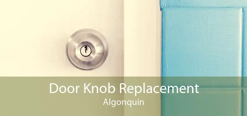 Door Knob Replacement Algonquin