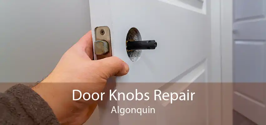 Door Knobs Repair Algonquin