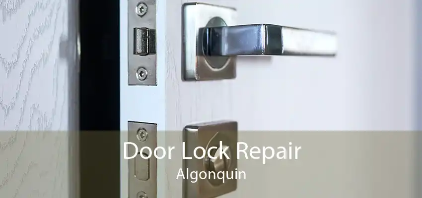 Door Lock Repair Algonquin
