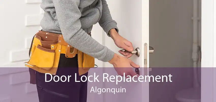 Door Lock Replacement Algonquin