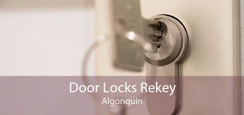 Door Locks Rekey Algonquin