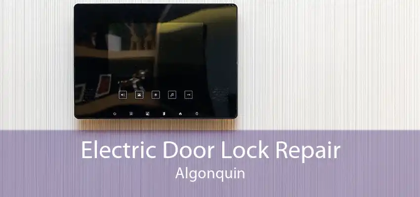 Electric Door Lock Repair Algonquin