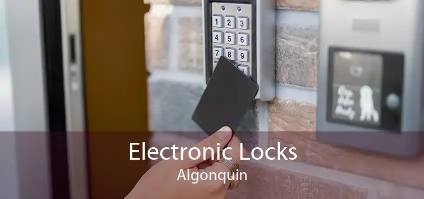 Electronic Locks Algonquin
