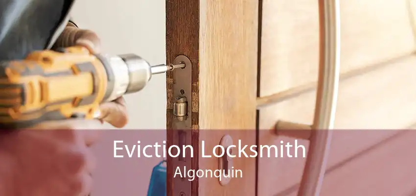 Eviction Locksmith Algonquin