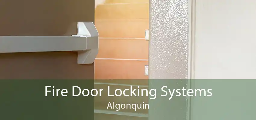 Fire Door Locking Systems Algonquin