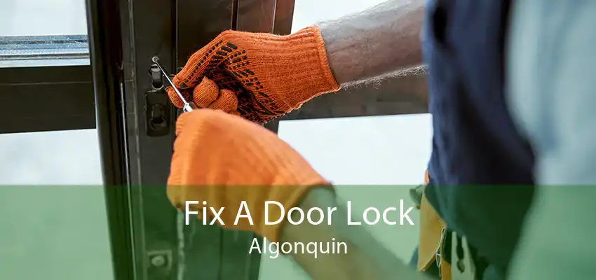 Fix A Door Lock Algonquin