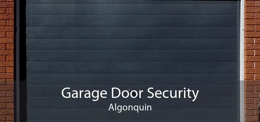 Garage Door Security Algonquin