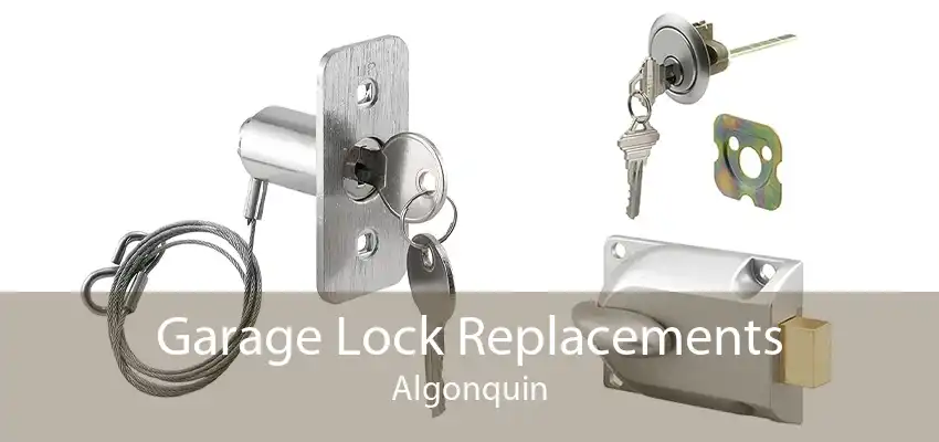Garage Lock Replacements Algonquin
