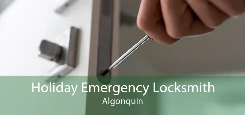 Holiday Emergency Locksmith Algonquin