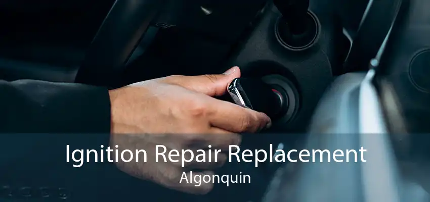 Ignition Repair Replacement Algonquin