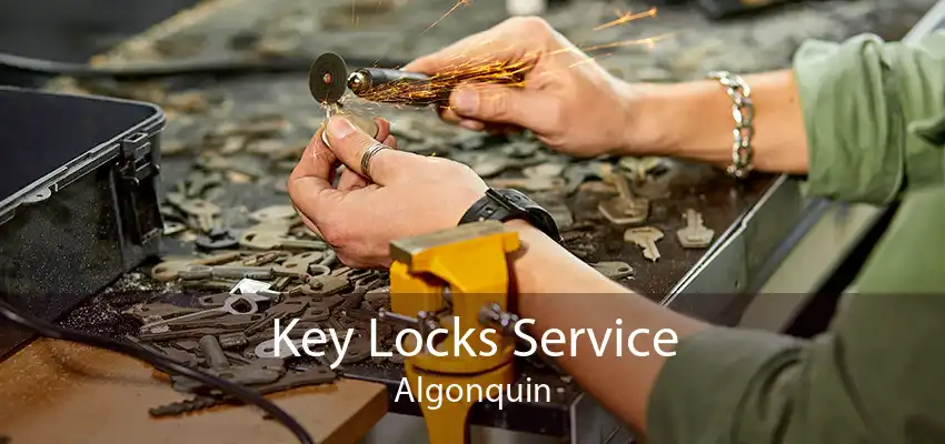 Key Locks Service Algonquin