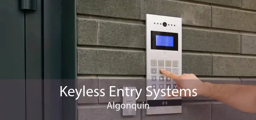 Keyless Entry Systems Algonquin