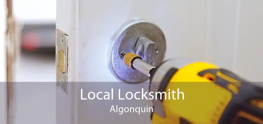 Local Locksmith Algonquin