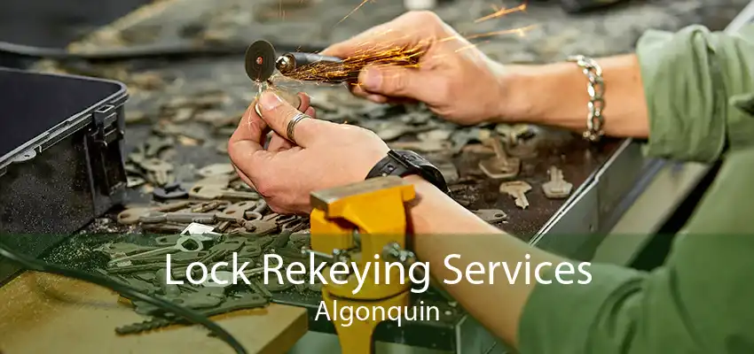 Lock Rekeying Services Algonquin