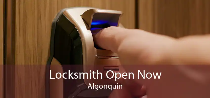 Locksmith Open Now Algonquin