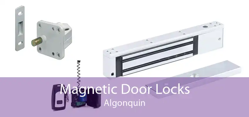 Magnetic Door Locks Algonquin