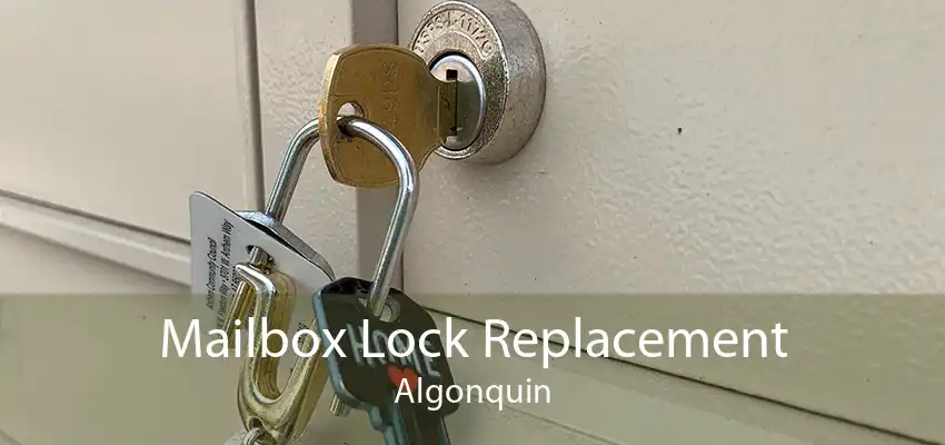 Mailbox Lock Replacement Algonquin