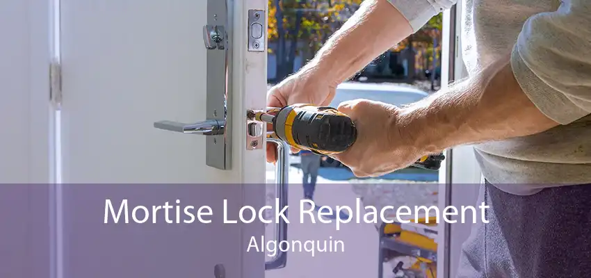 Mortise Lock Replacement Algonquin
