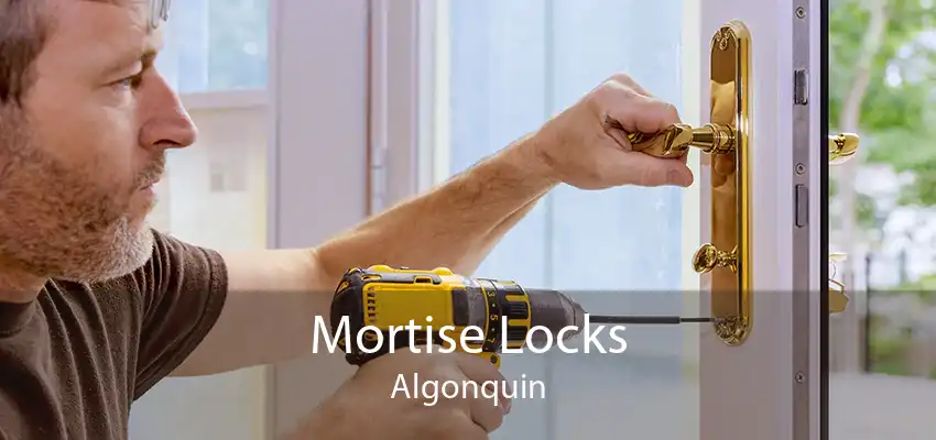 Mortise Locks Algonquin