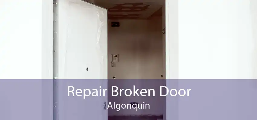 Repair Broken Door Algonquin