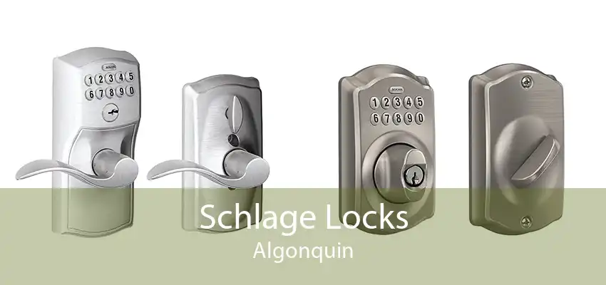 Schlage Locks Algonquin