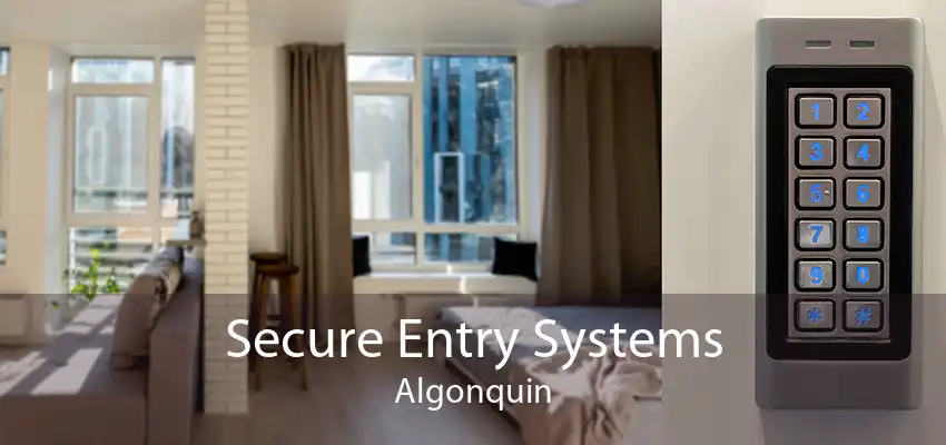 Secure Entry Systems Algonquin
