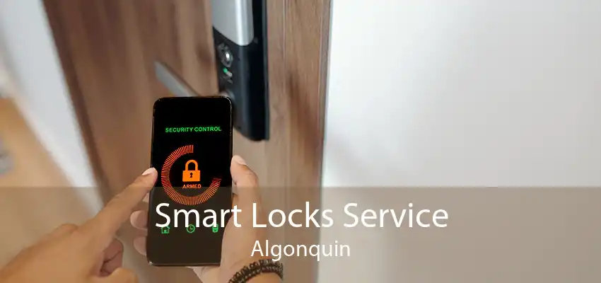 Smart Locks Service Algonquin