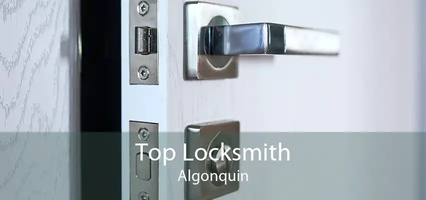 Top Locksmith Algonquin