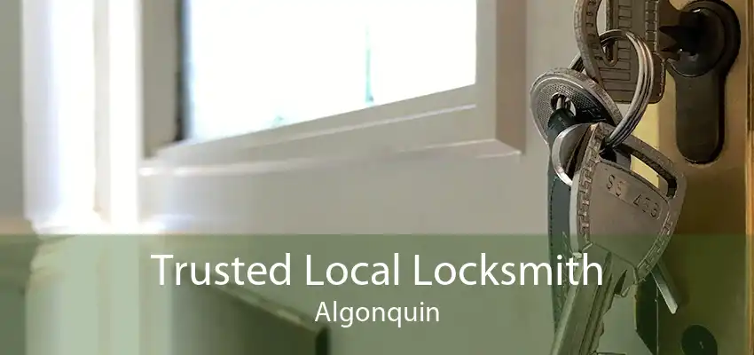 Trusted Local Locksmith Algonquin