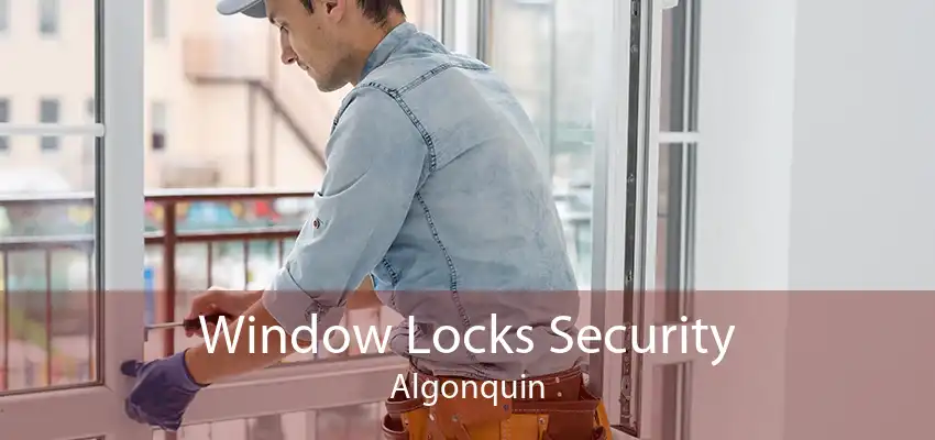 Window Locks Security Algonquin