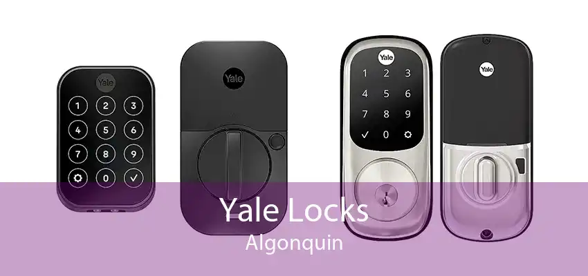 Yale Locks Algonquin